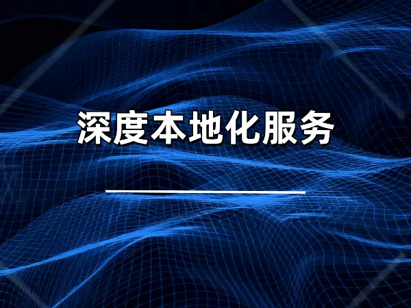 深度本地化服务