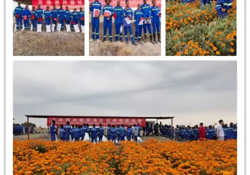 标准“种子”播撒非洲大地——中赞农业标准化合作“硕果盈枝”